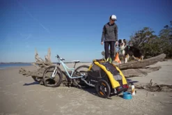 Burley Tailwagon Pet Trailer - Yellow/Black - 16w 19 Burley Tailwagon Pet Trailer - Yellow/Black - 16w -Sportful Shop dsc06699 2000px