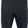 Funkier F-Pro Gel 12-Panel Pro Lycra Shorts - Black -Sportful Shop p5c37094f2ed4e7.62023917