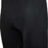 Funkier F-10 10-Panel Lycra Shorts - Black -Sportful Shop p5e0dca8be57937.03215357